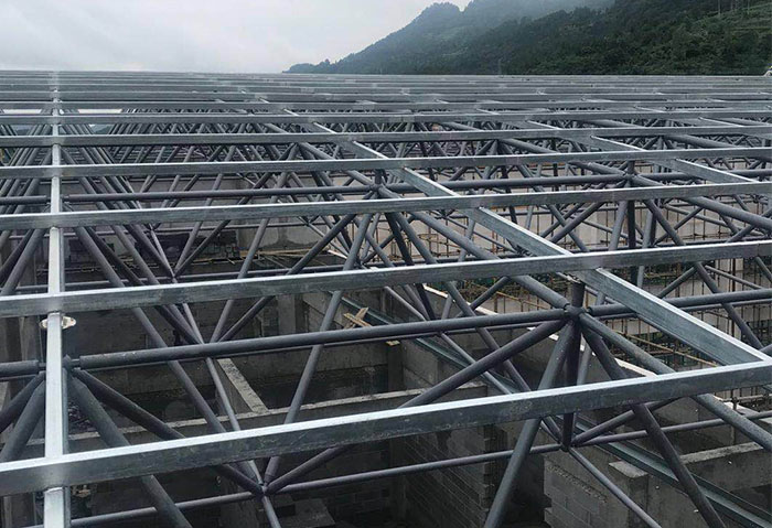 大同学校艺体楼网架